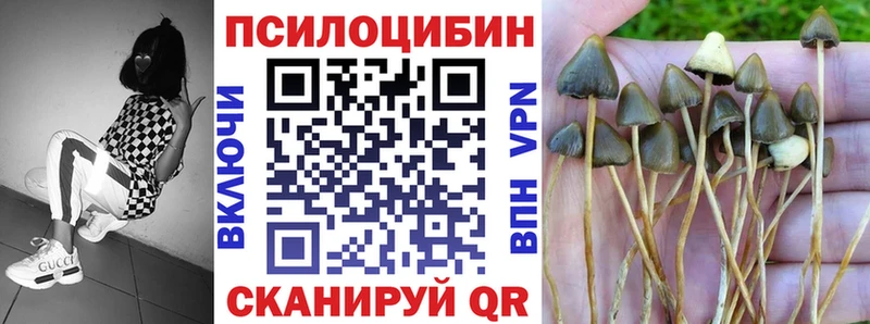 Галлюциногенные грибы Cubensis  mega ТОР  Старица 
